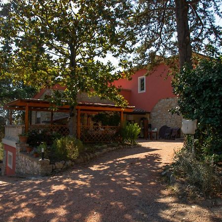Agriturismo Terre Della Rinascita Castelnuovo della Misericordia エクステリア 写真