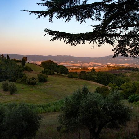 Agriturismo Terre Della Rinascita Castelnuovo della Misericordia エクステリア 写真