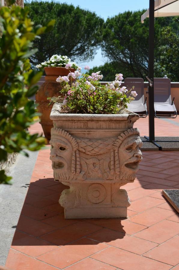 Agriturismo Terre Della Rinascita Castelnuovo della Misericordia エクステリア 写真