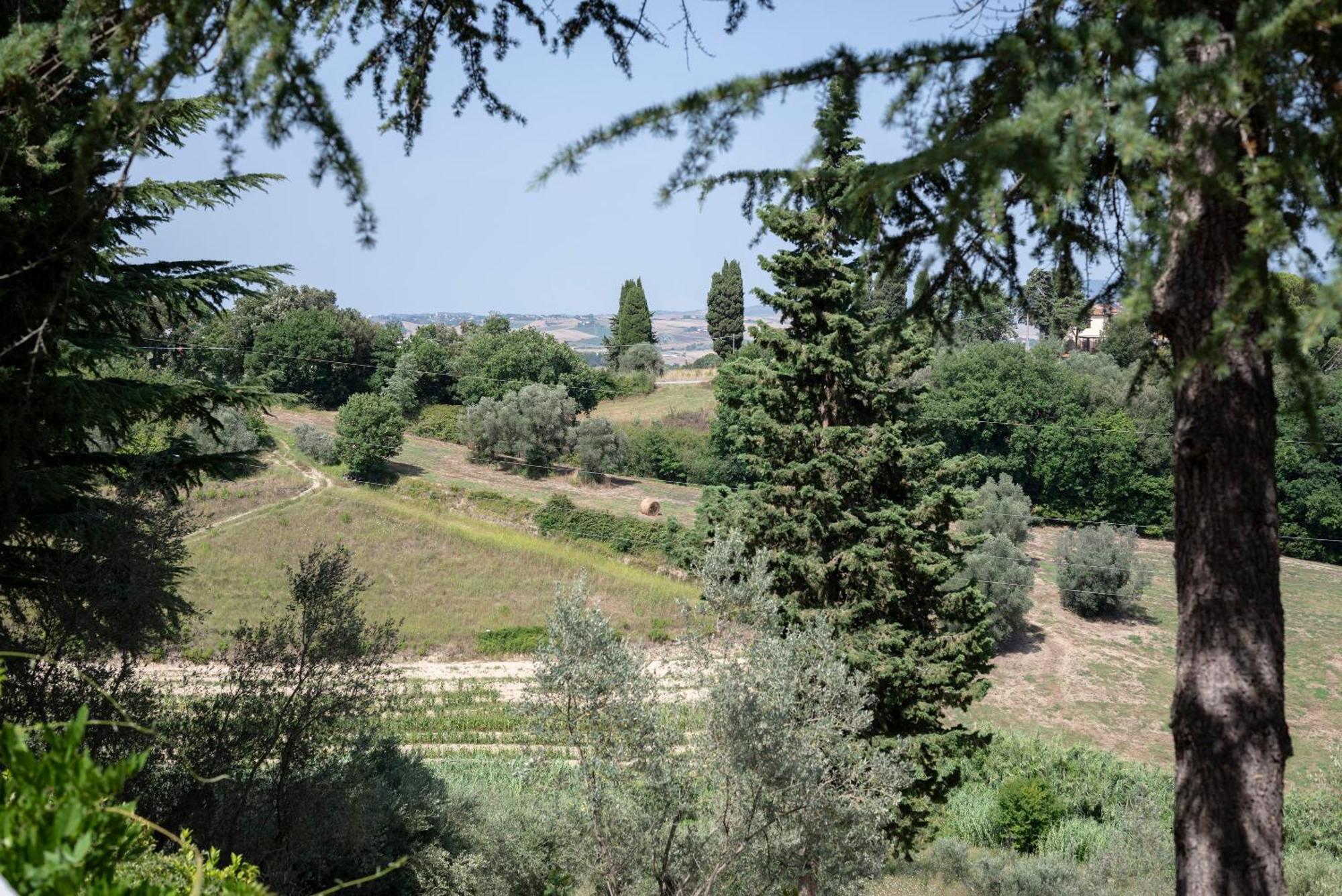 Agriturismo Terre Della Rinascita Castelnuovo della Misericordia エクステリア 写真