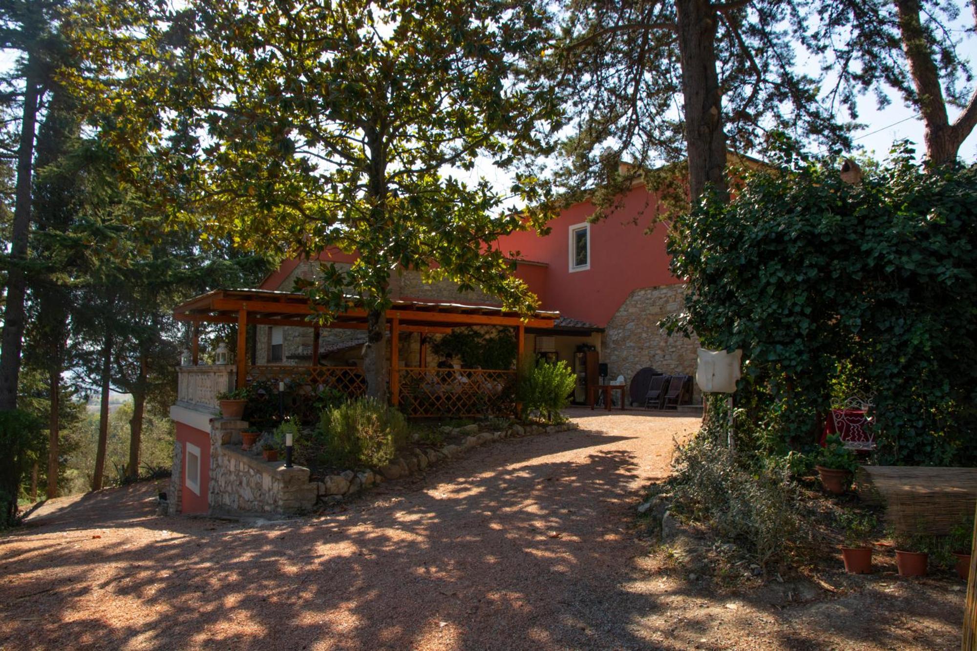 Agriturismo Terre Della Rinascita Castelnuovo della Misericordia エクステリア 写真