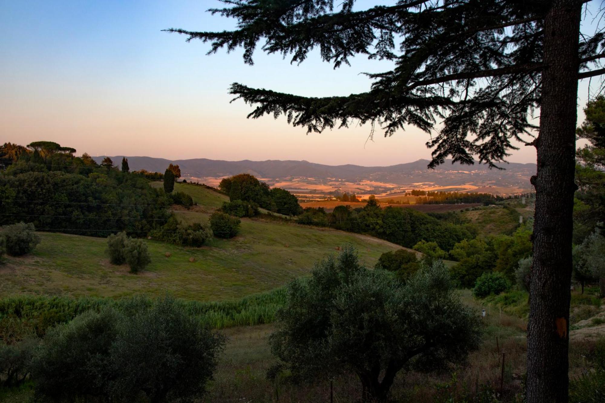 Agriturismo Terre Della Rinascita Castelnuovo della Misericordia エクステリア 写真