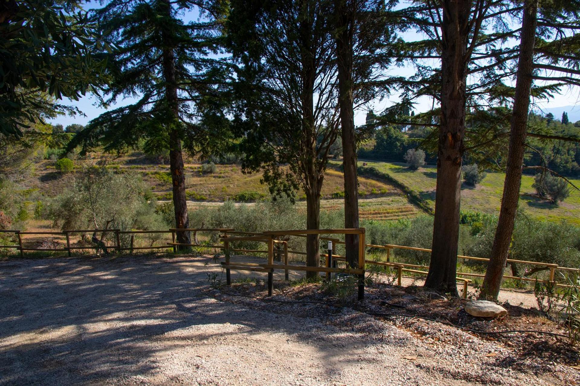 Agriturismo Terre Della Rinascita Castelnuovo della Misericordia エクステリア 写真